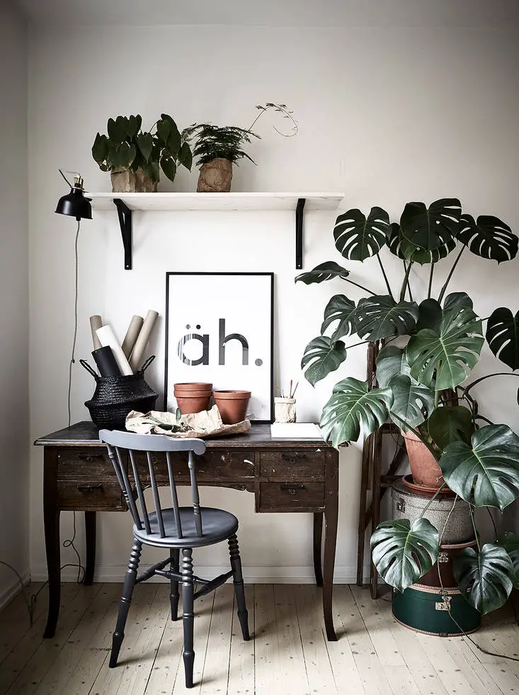 瑞典一室公寓 | 绿意盎然的自然设计-2