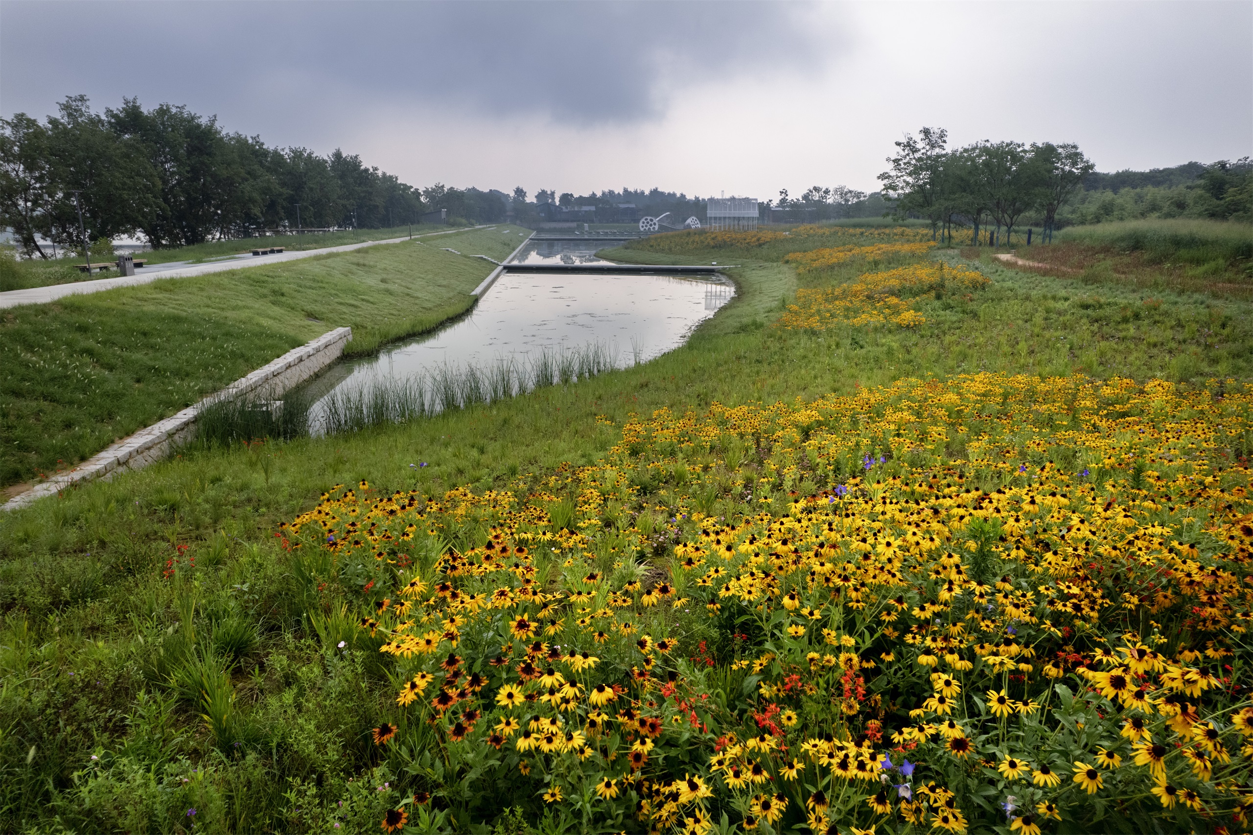 凤翔洲水文化公园丨中国衢州丨张唐景观-54