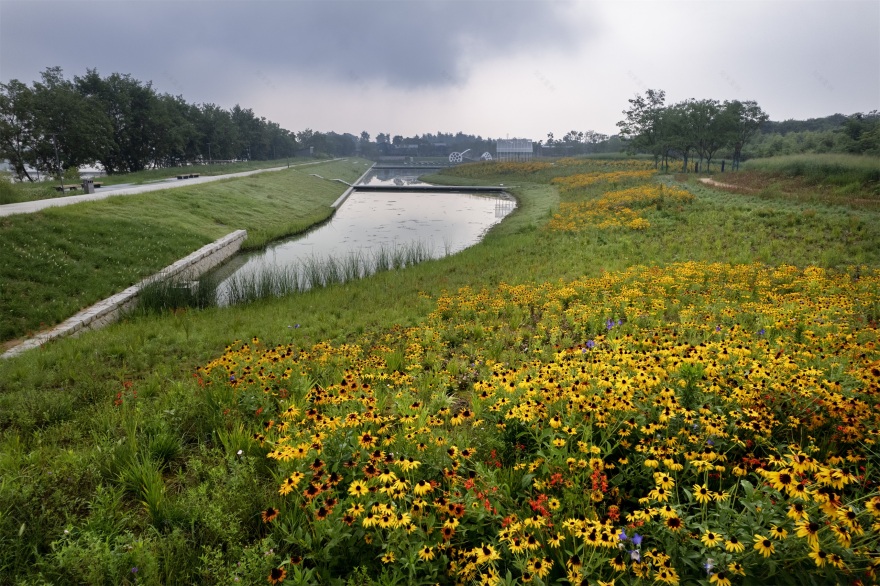 凤翔洲水文化公园丨中国衢州丨张唐景观-54