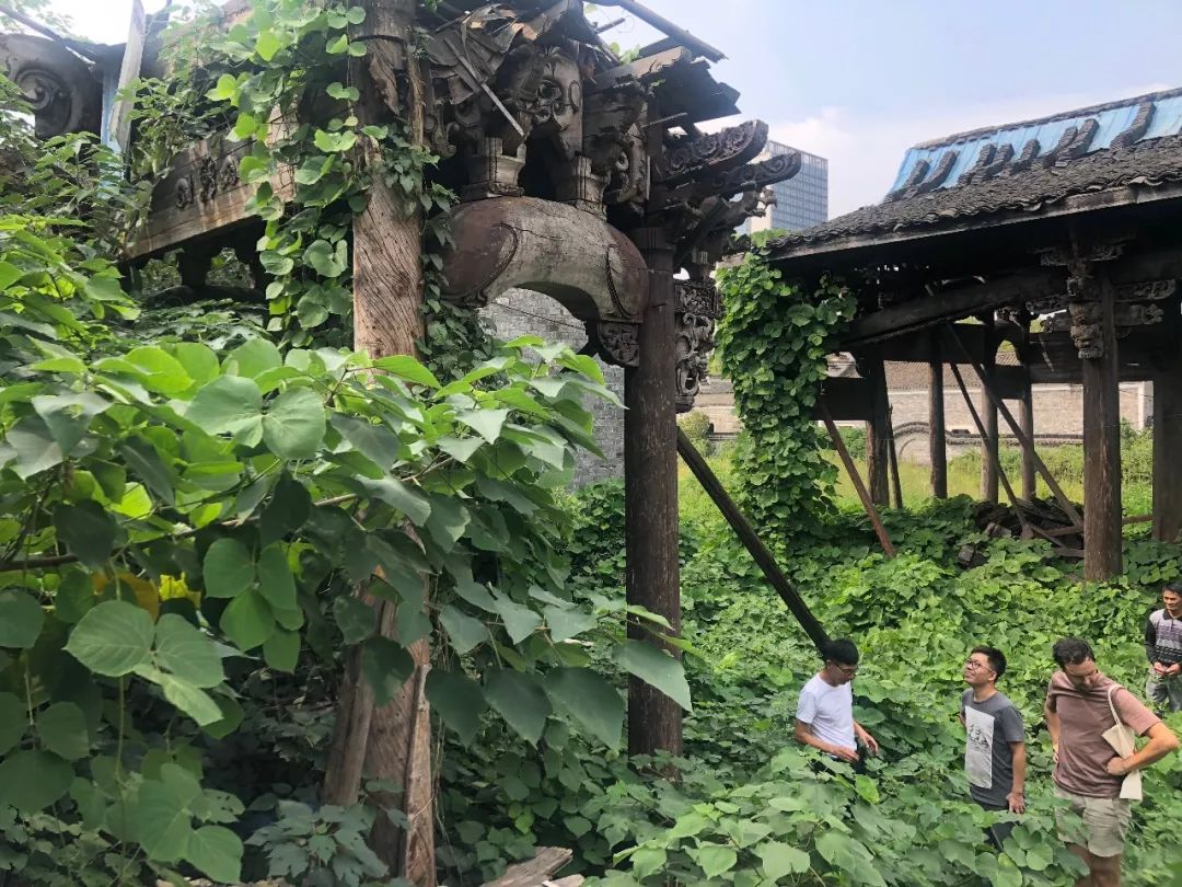 生熟平衡 | 探寻现代城市与乡村悖论的平衡建筑-24