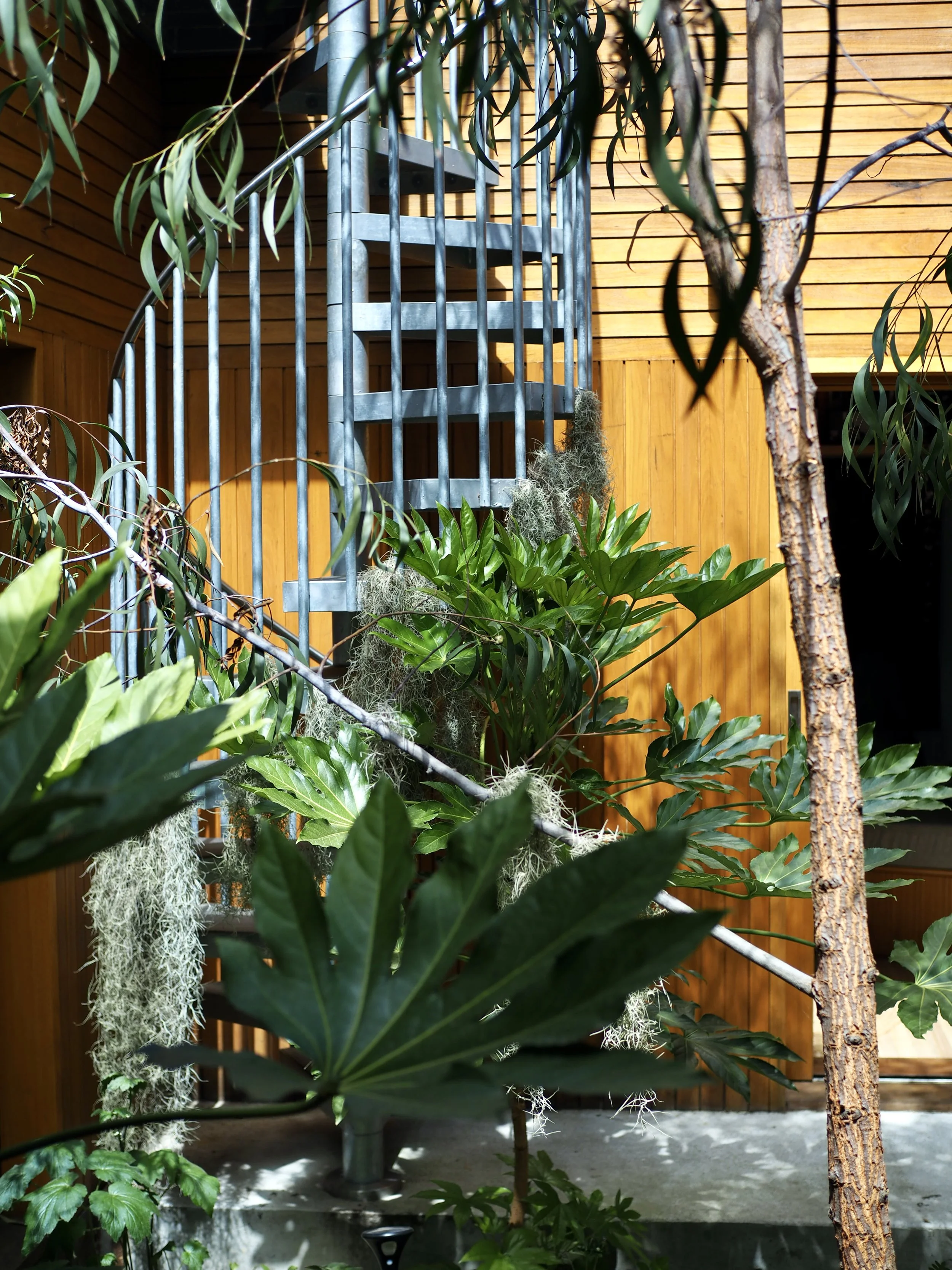 丨MODO（建筑设计）,Straw Brothers（设计,园艺与摄影）-15