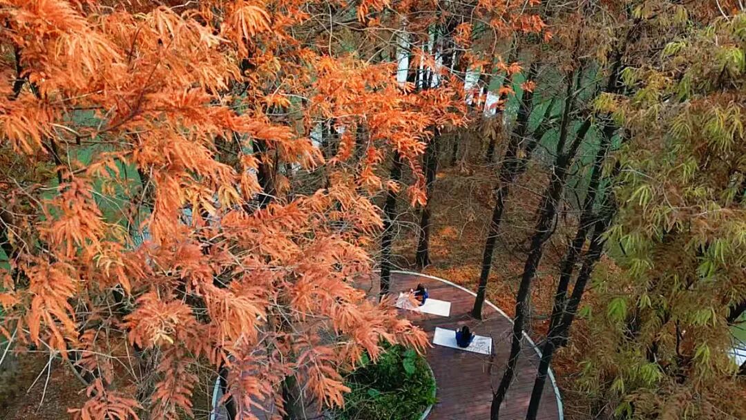 横沔公园丨中国上海丨上海市园林设计研究总院有限公司-17