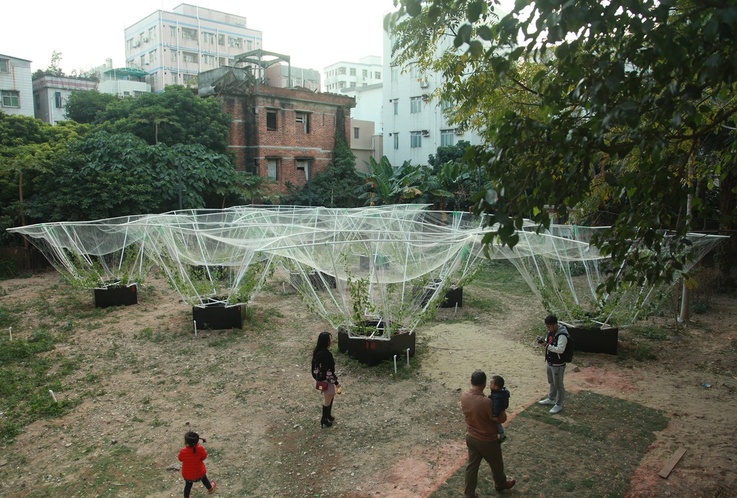 深圳天际农场 · 农民智慧融入城市更新-11