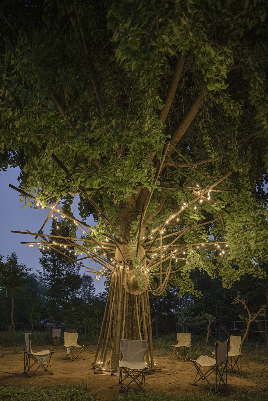 竹装置·Tree of Life丨中国北京丨UK Studio-40
