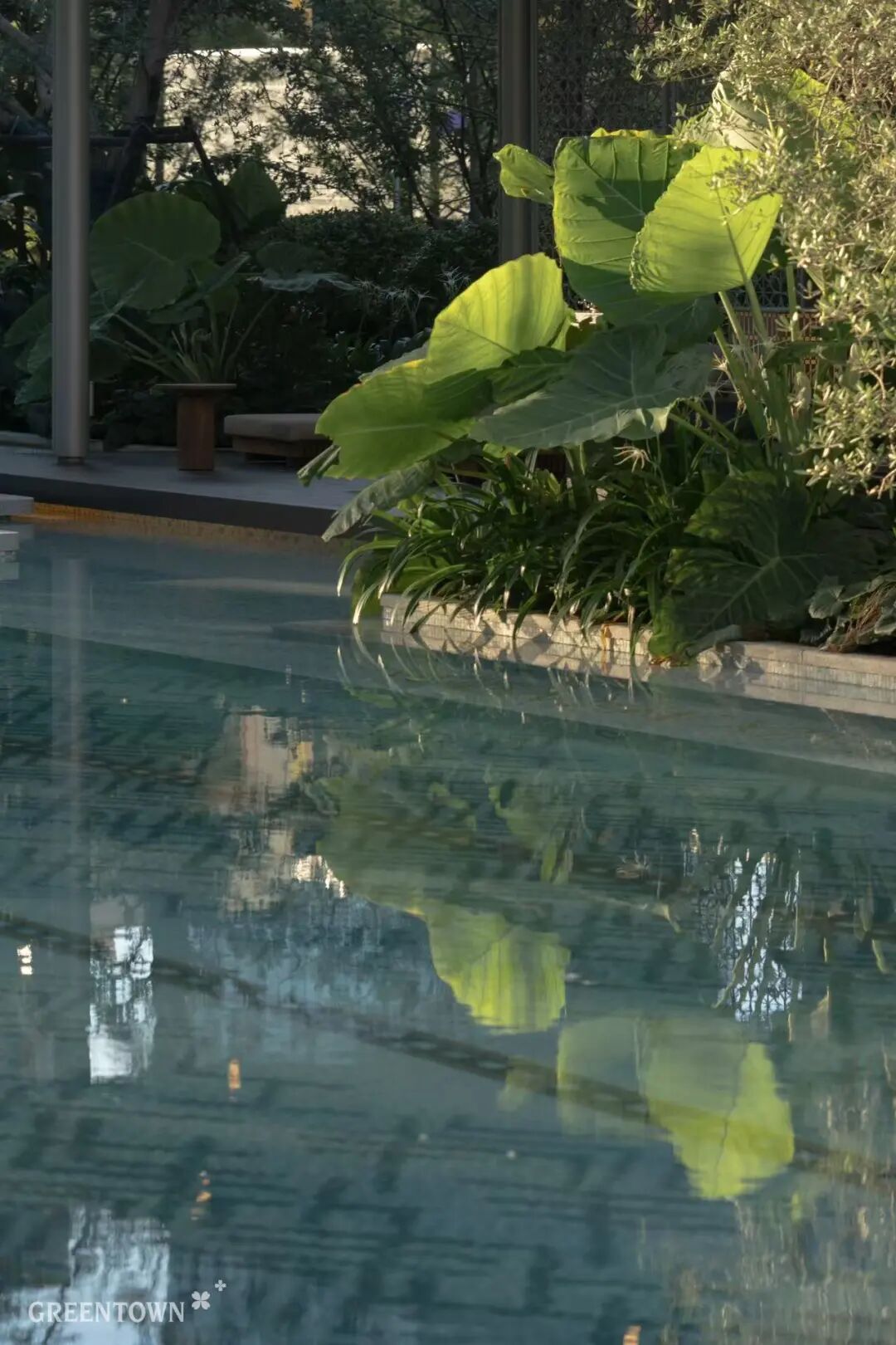 “心林物语”新作，送你一园夏梦-58