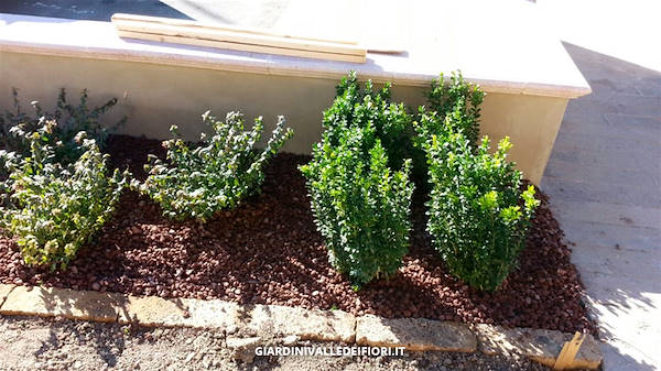 带花园的独栋别墅景观项目-14