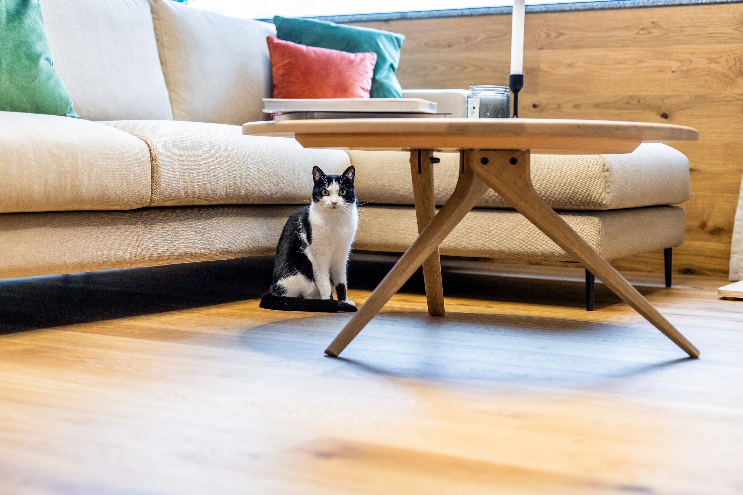 罗马尼亚 Evergreen 公寓丨罗马尼亚布加勒斯特丨MISO ARCHITECTS-5