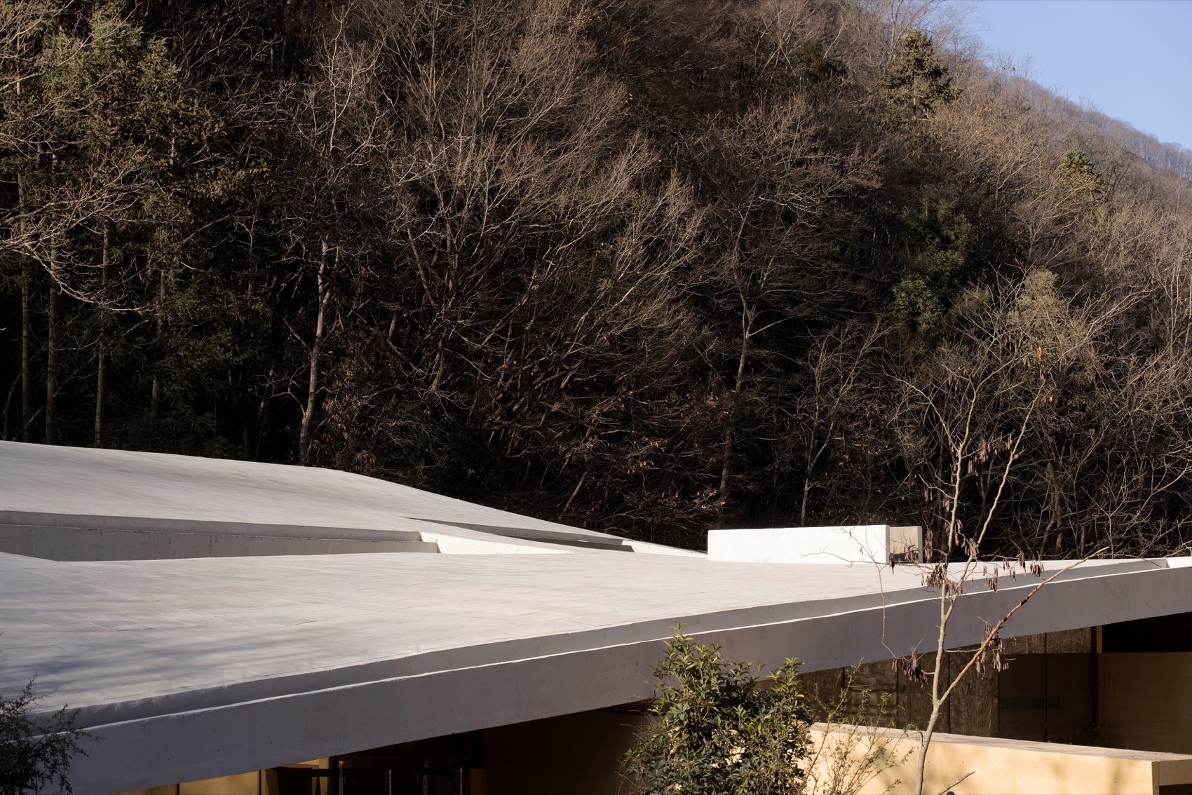 唐家河自然教育中心丨中国广元丨合造社建筑设计事务所-21