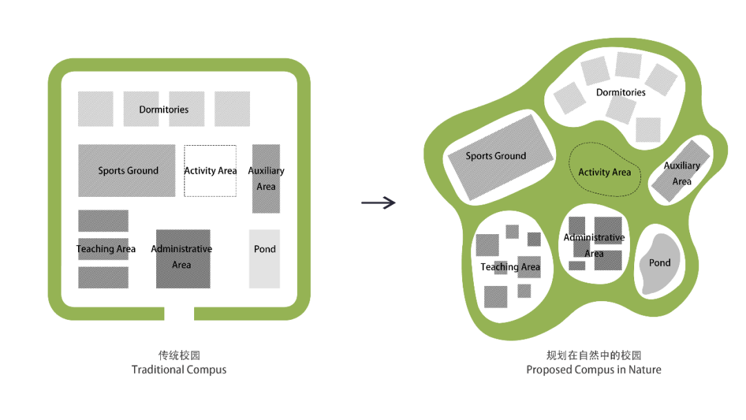 海边的“童年”高校 · 立木幼师学校丨立木 L&M-31