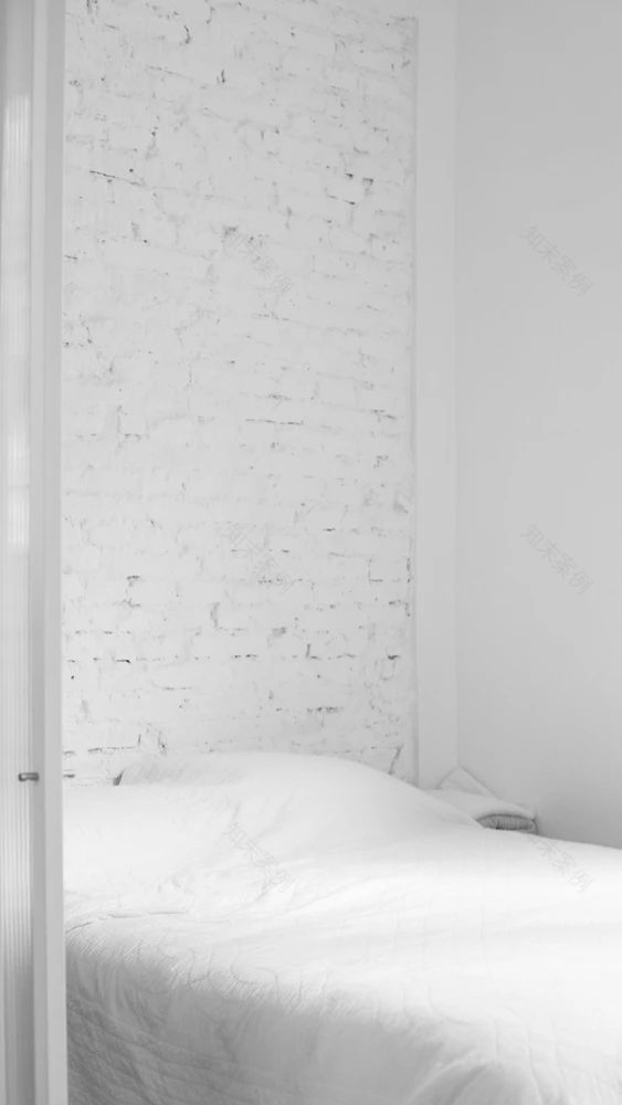 32㎡公寓的极致挑战丨阿根廷布宜诺斯艾利斯丨三角项目-20