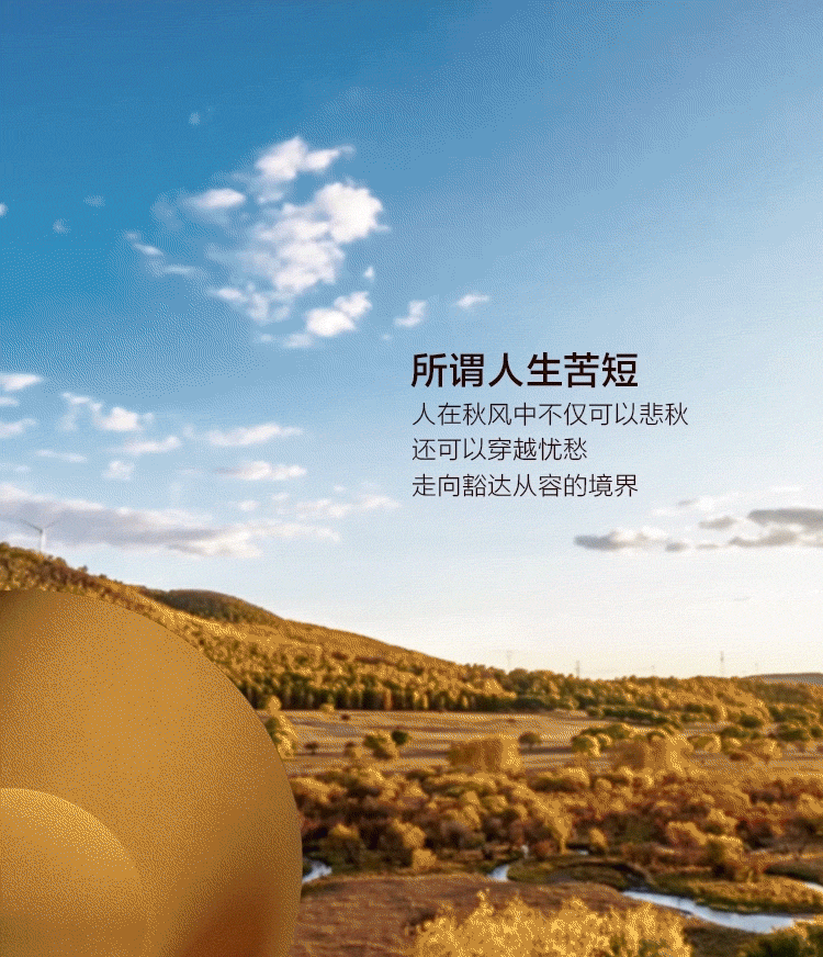 金秋盛宴 · 时尚家居空间设计丨知名设计师-9