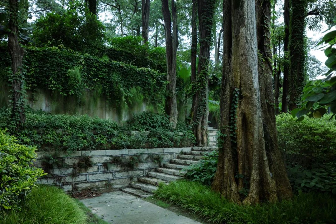 鹭潮·鼓浪屿美院丨中国厦门丨GND杰地景观-111