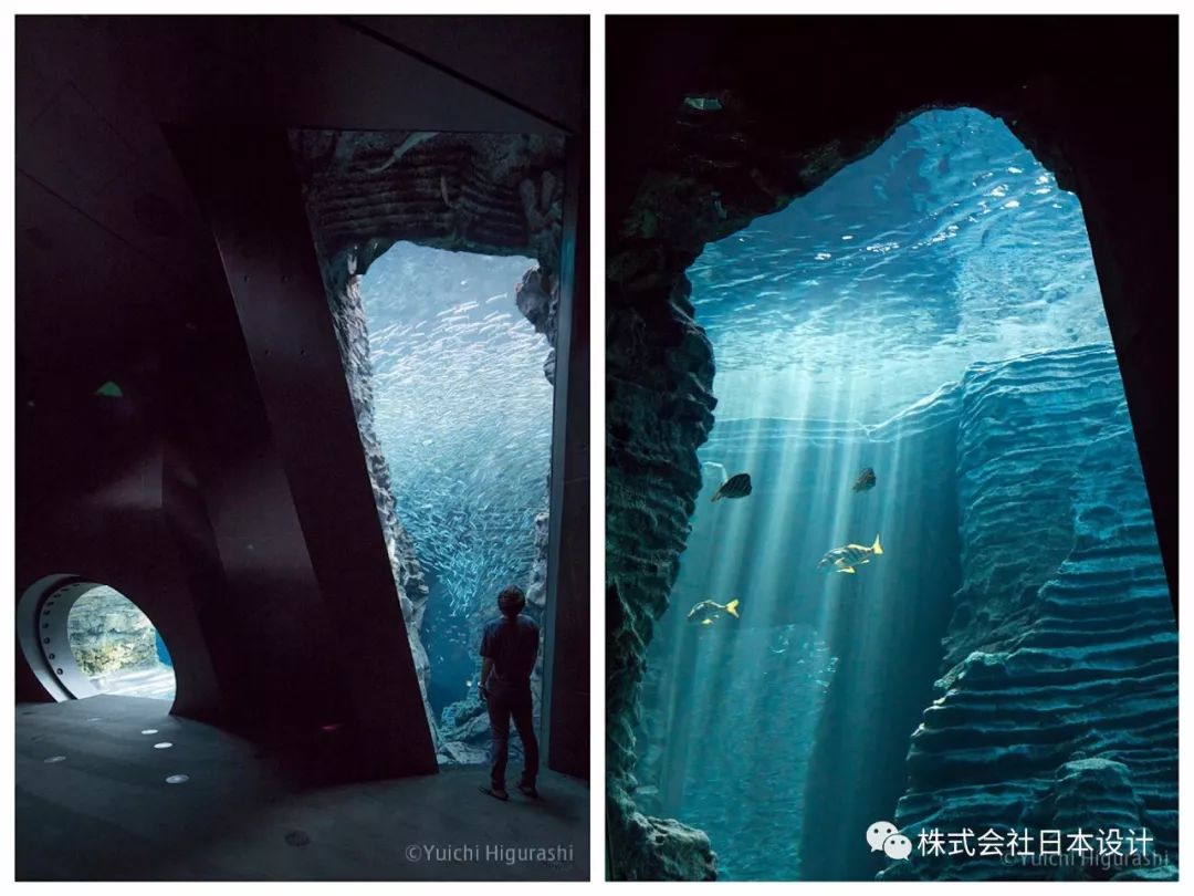 上越市立水族博物馆 | 沉浸式体验日本海的壮美海景-0