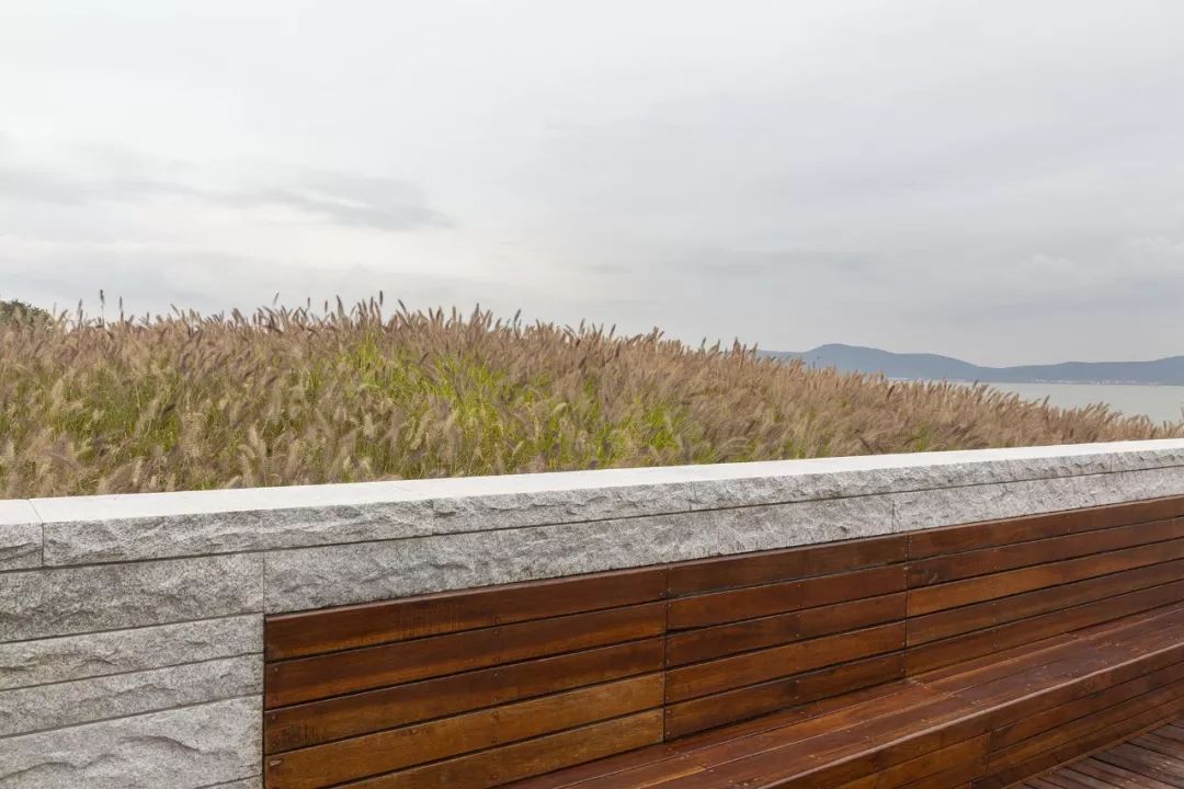 《雁归来》 | 水乡文化的现代解读-112