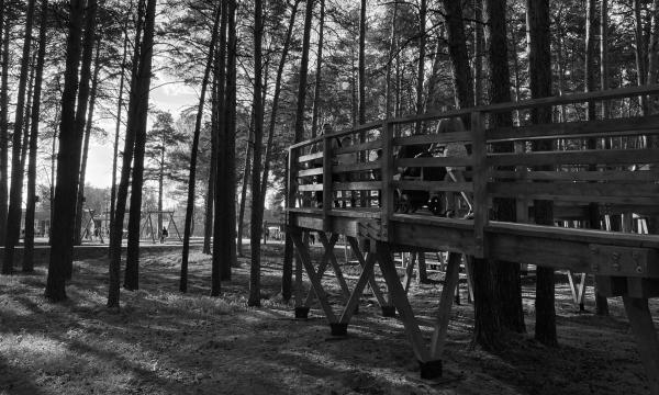 城市花园景观设计·阿西诺市中心“团结城市”项目丨俄罗斯托木斯克丨托木斯克州城市环境发展中心-46