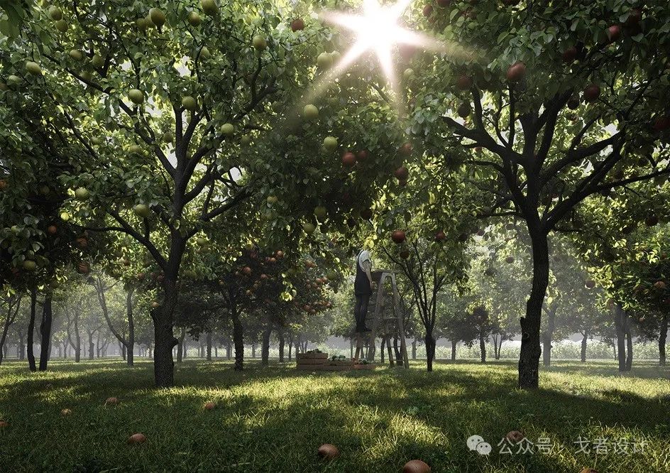 别墅景观改造祖母家的花园丨中国北京丨北京戈者设计-7