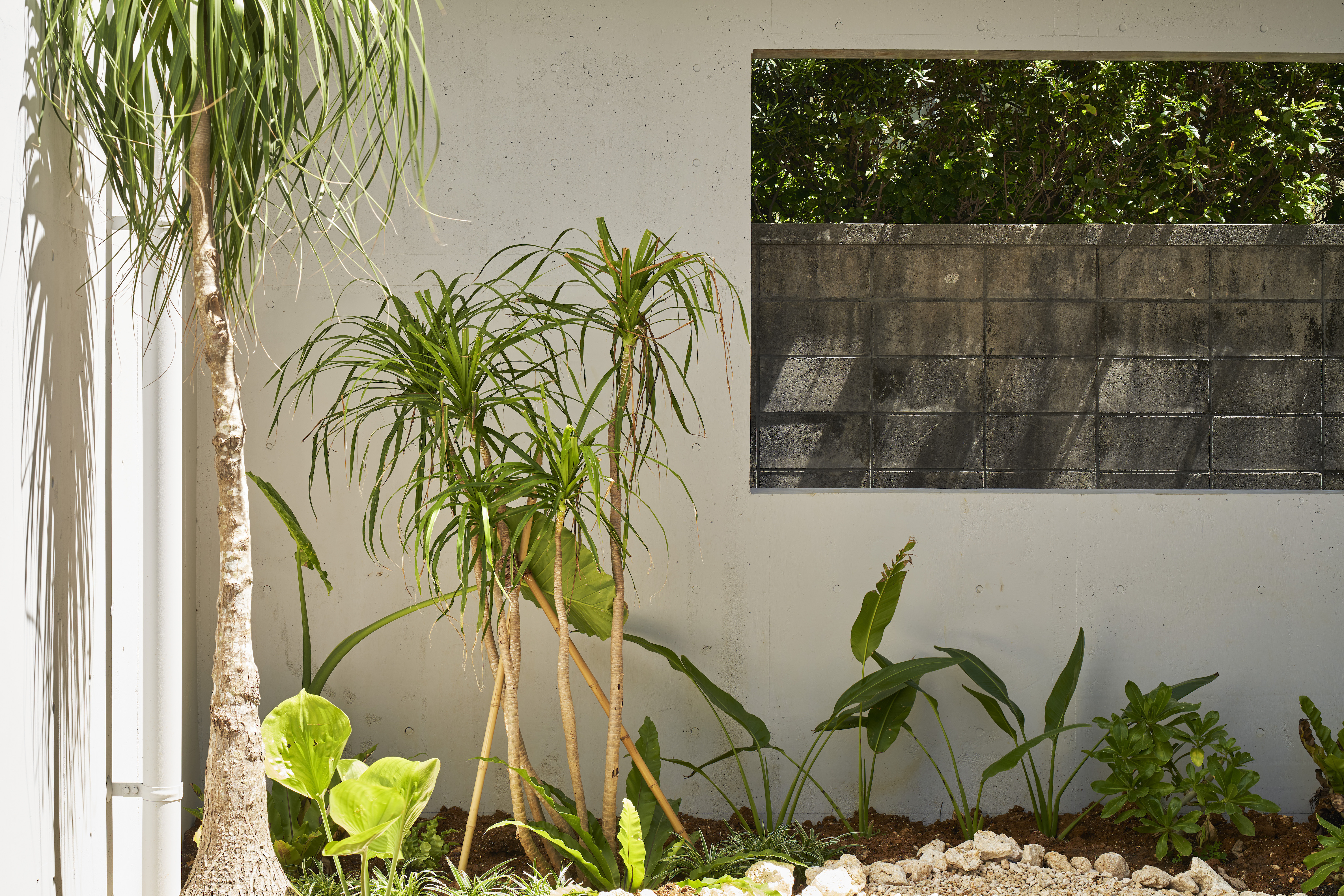 S 公寓丨Yohei Kawashima architects inc.-48