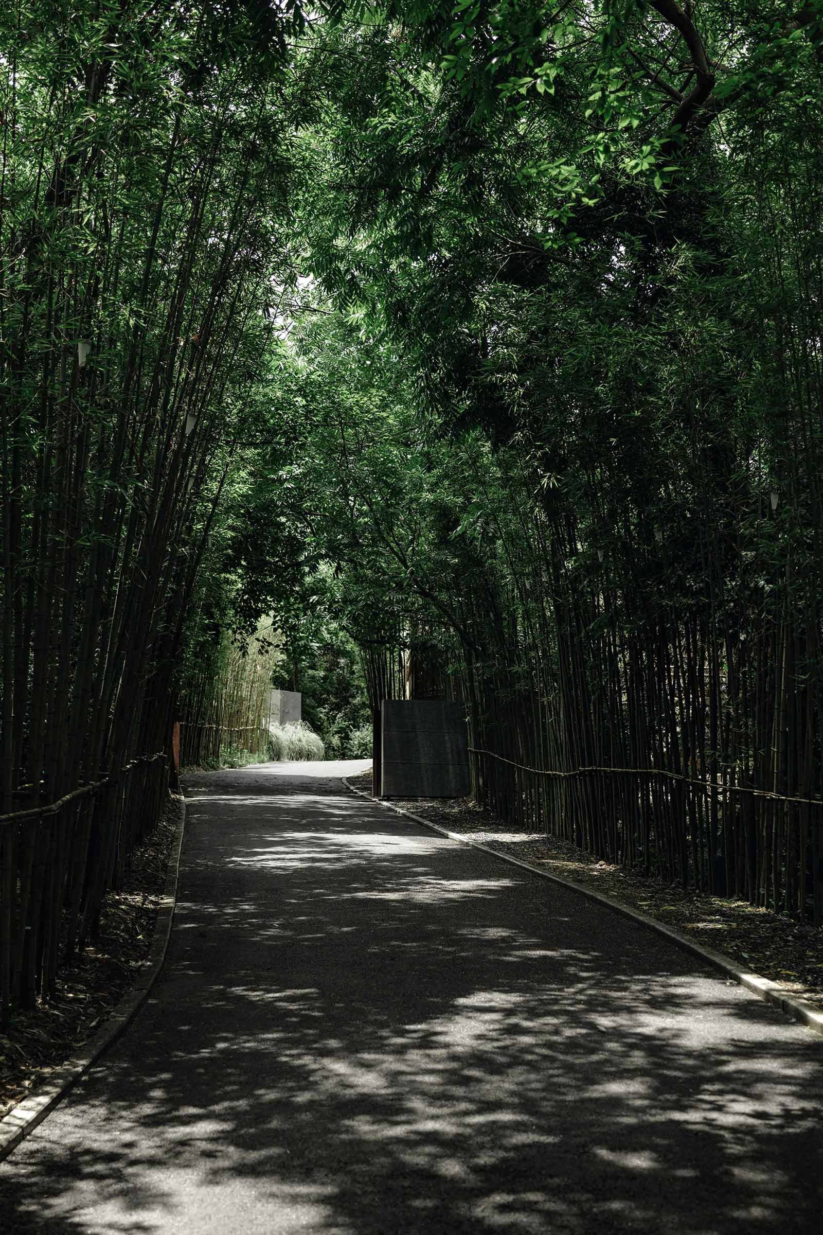 A Restored Mountain Villa Becomes Sisan Hupao 1934 — Design Anthology-3