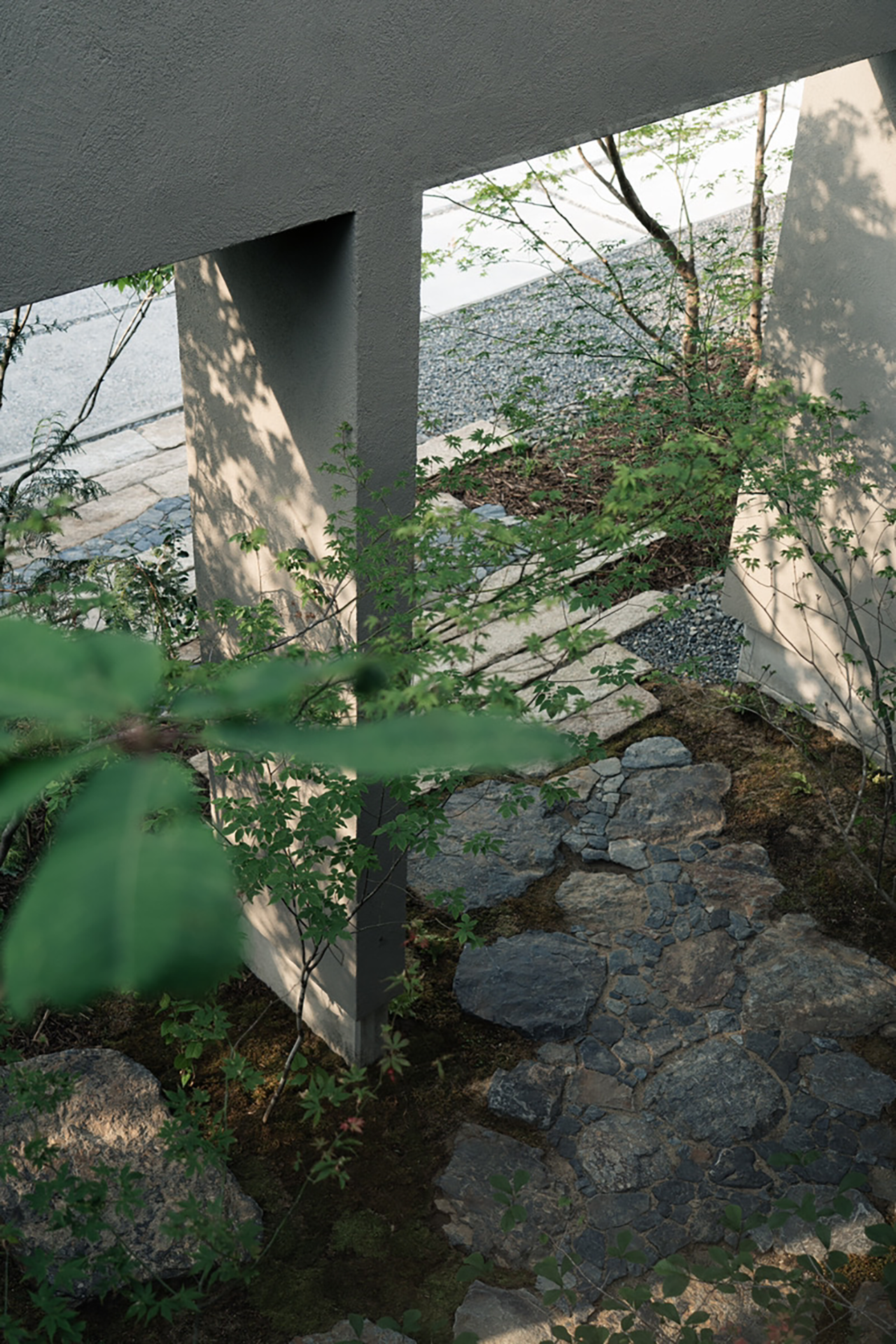 长野之家丨日本长野丨Tomoko Fukayama,熊谷隆-1