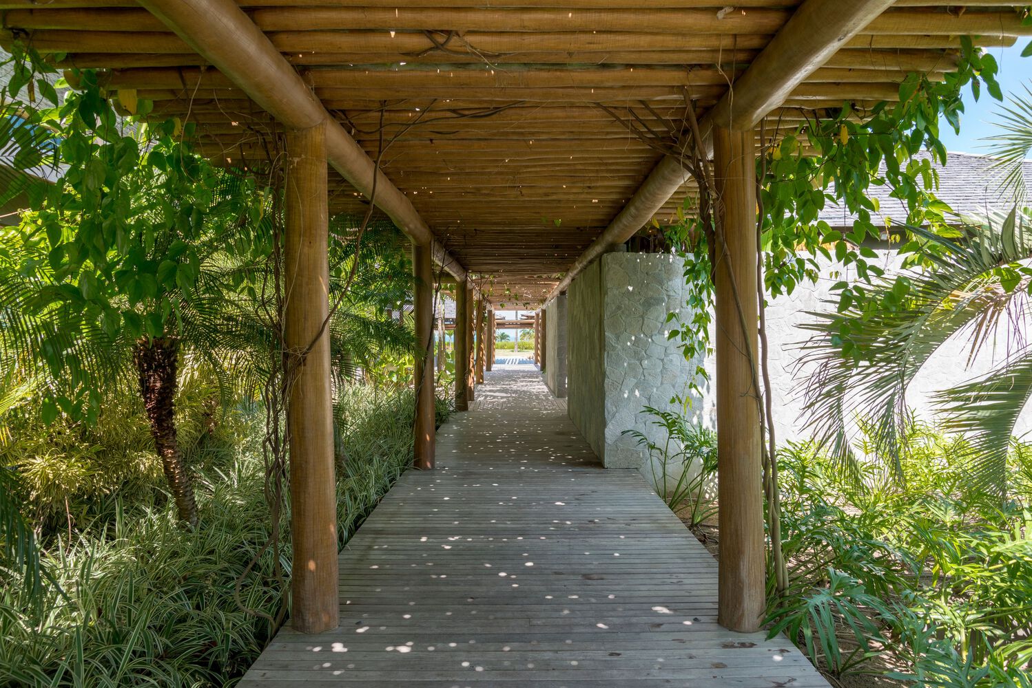 巴西托兰科索别墅丨David Bastos-10