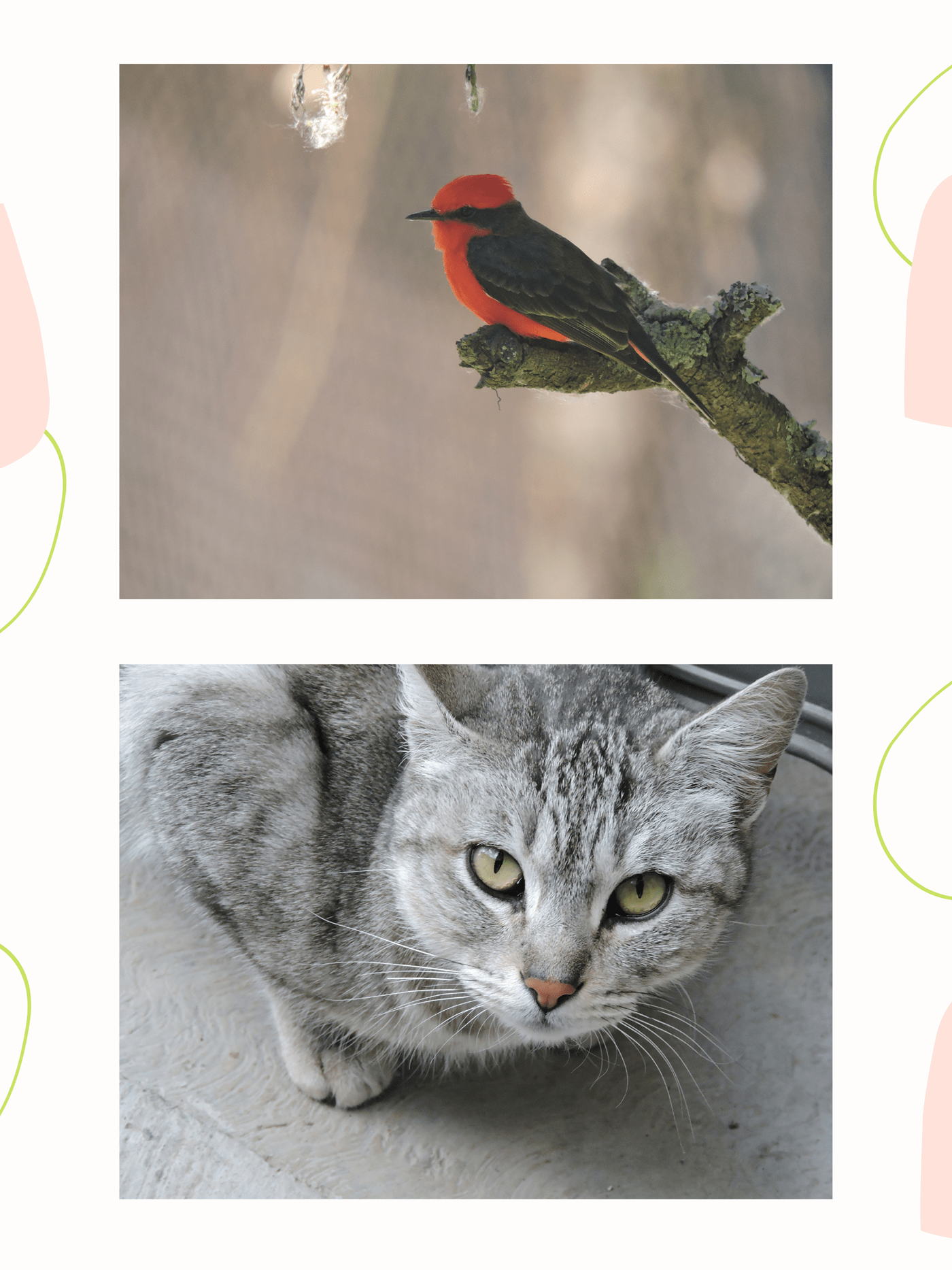 Portafolio | Fotografía-7