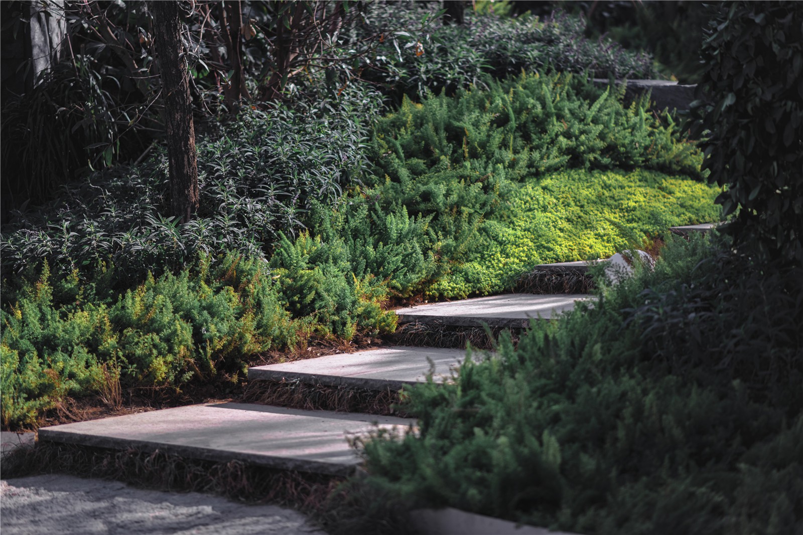 惠州佳兆业•时光道示范区景观丨中国惠州丨魏玛景观-25