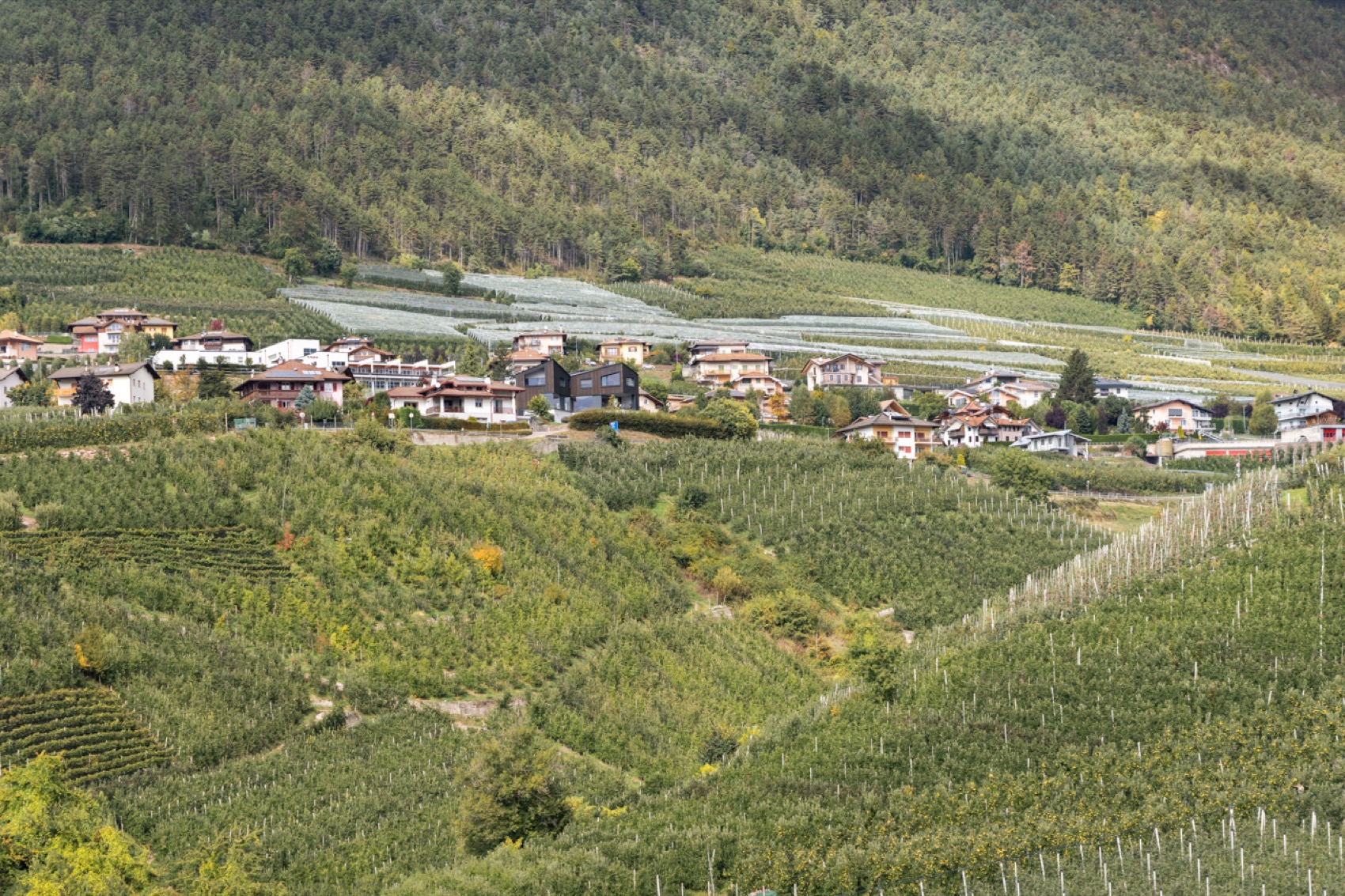 故乡之家丨意大利特伦托-190