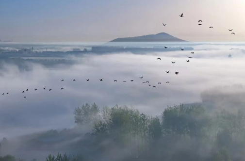 iMBox落地项目|田园牧歌，与鹭同栖，iMBox在风景美丽的扬州，助力打造了一个亲子度假胜地-3