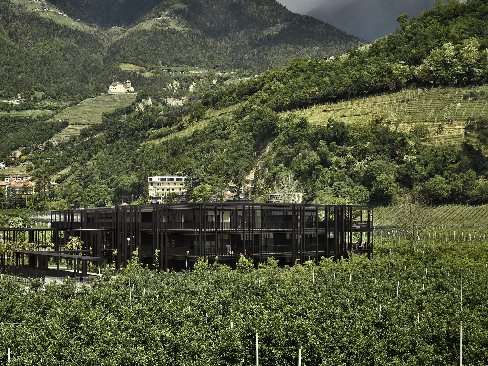 斯图加特 ANTONIANUM 住宅综合体丨德国斯图加特-3