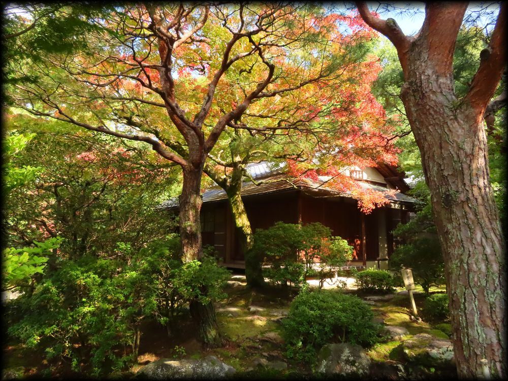 知恩院友禅苑,華麓庵,白寿庵,知恩院方丈庭園丨日本京都-20
