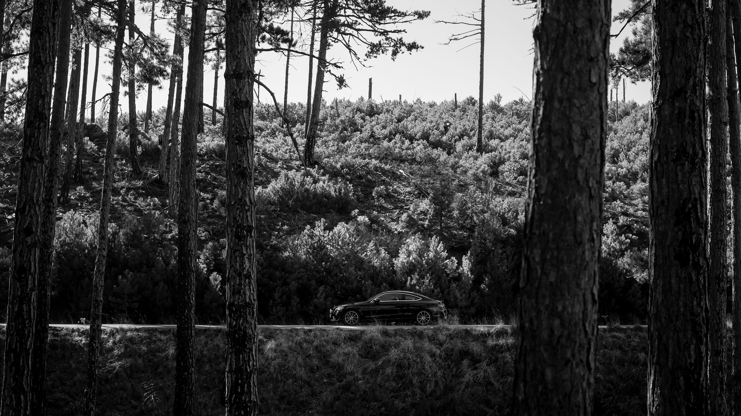 神秘迈斯特拉斯 · 古堡与奔驰 C 级 Coupé的欣喜若狂之旅-75