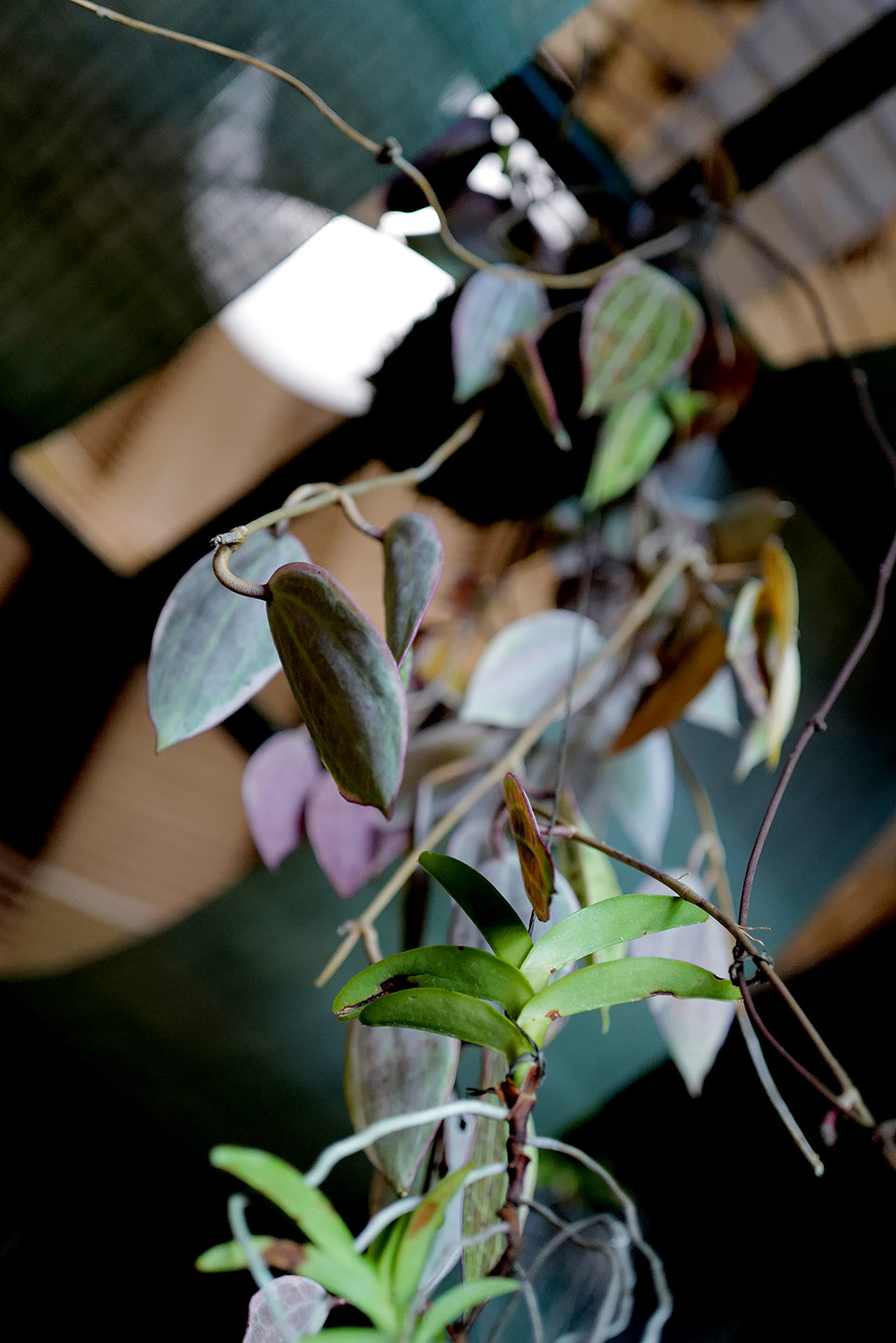 京都NOMA餐厅室内设计丨日本京都丨OEO STUDIO-39