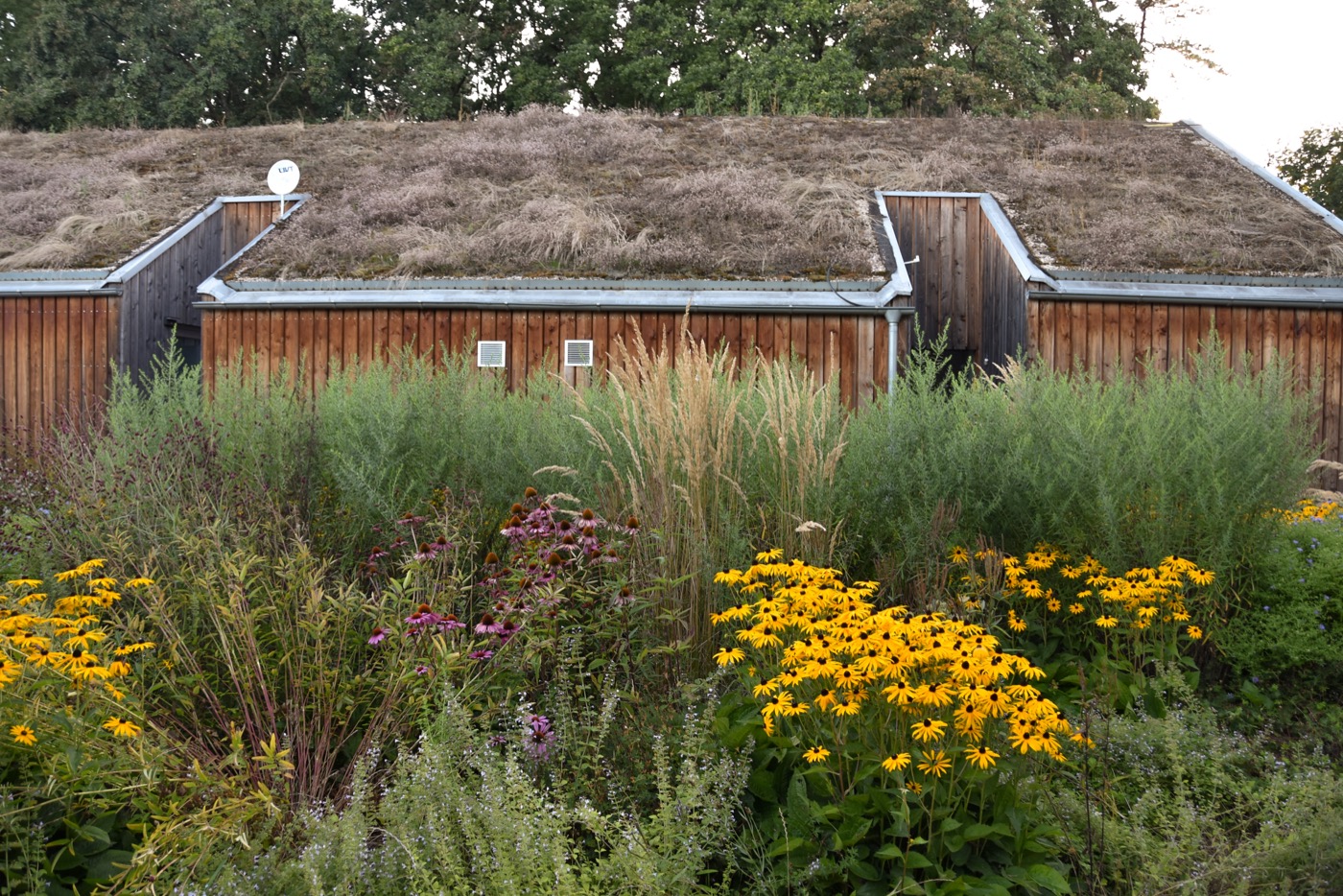 自然之境 · 现代乡村家庭花园-29