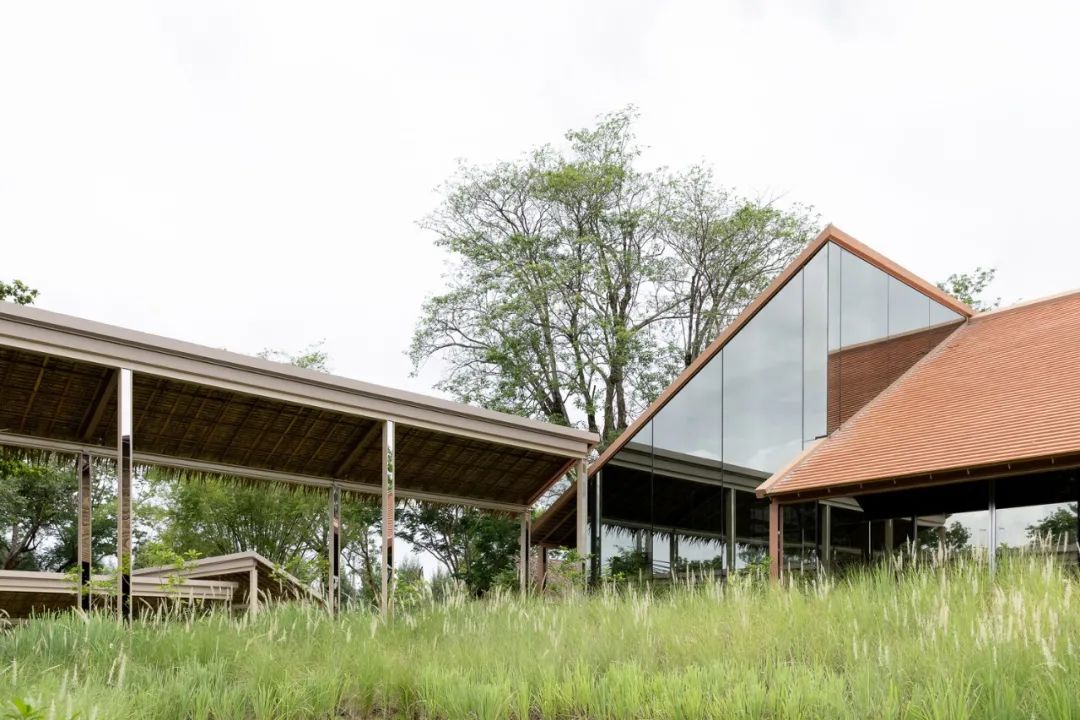 泰国乡村新咖啡馆 | 玻璃与木瓦的生态融合-17