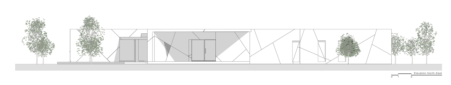 Diamond Tree（钻石树）-80
