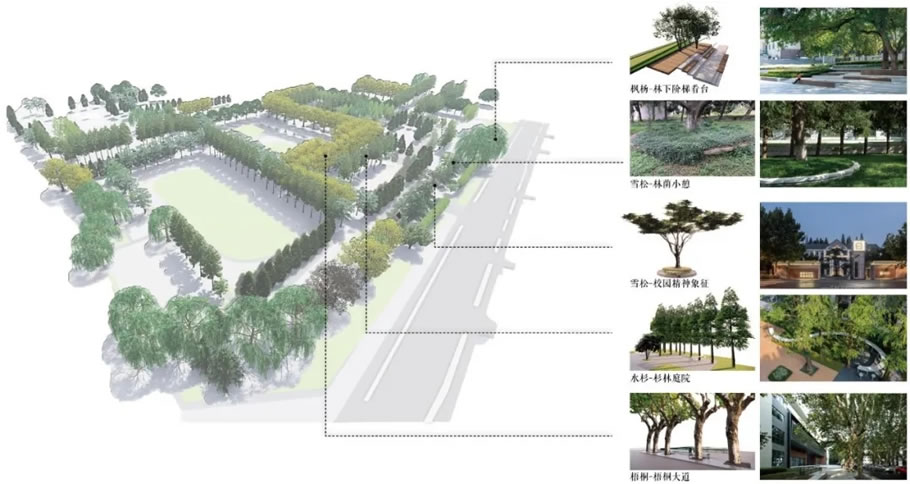 金地·梧桐里(南师大玄武科技园)丨中国南京丨LAURENT罗朗景观-19