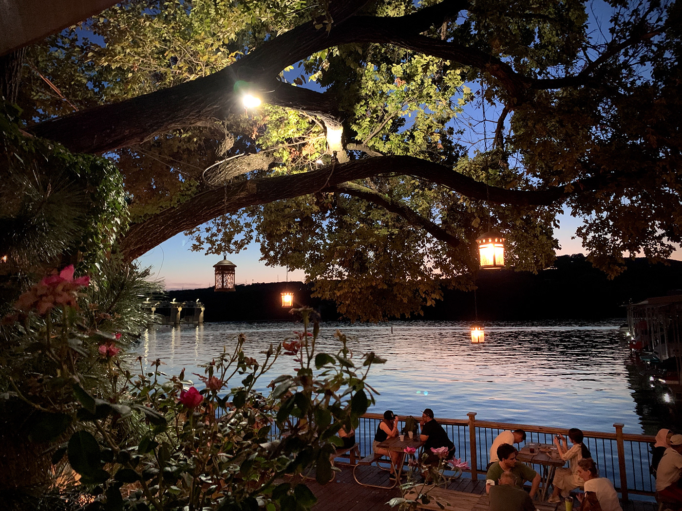 Anastasiya Gushchina丨咖啡店丨Artist Date Pt. 2: Mozart’s Coffee-4