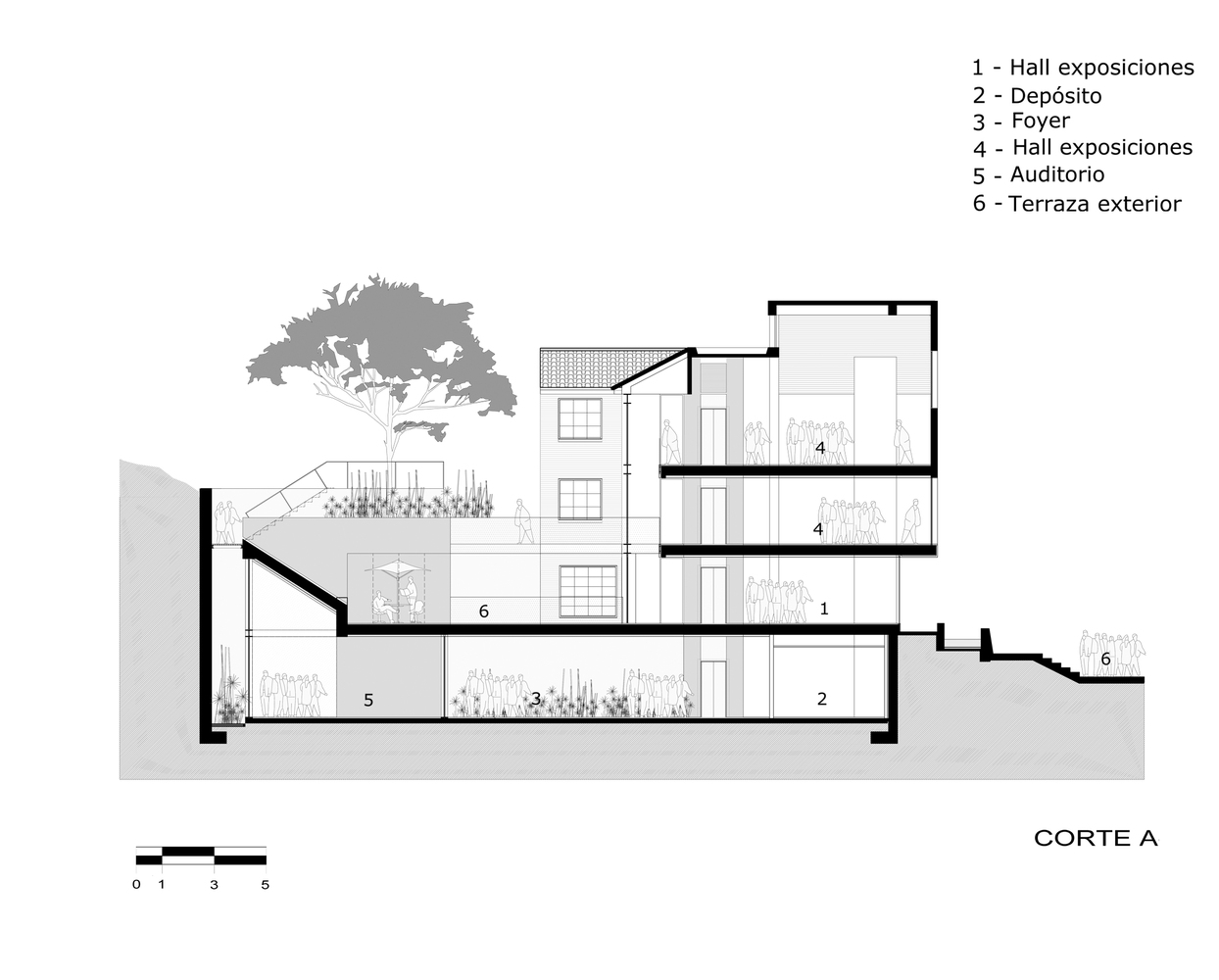 日本文化中心丨哥伦比亚-29