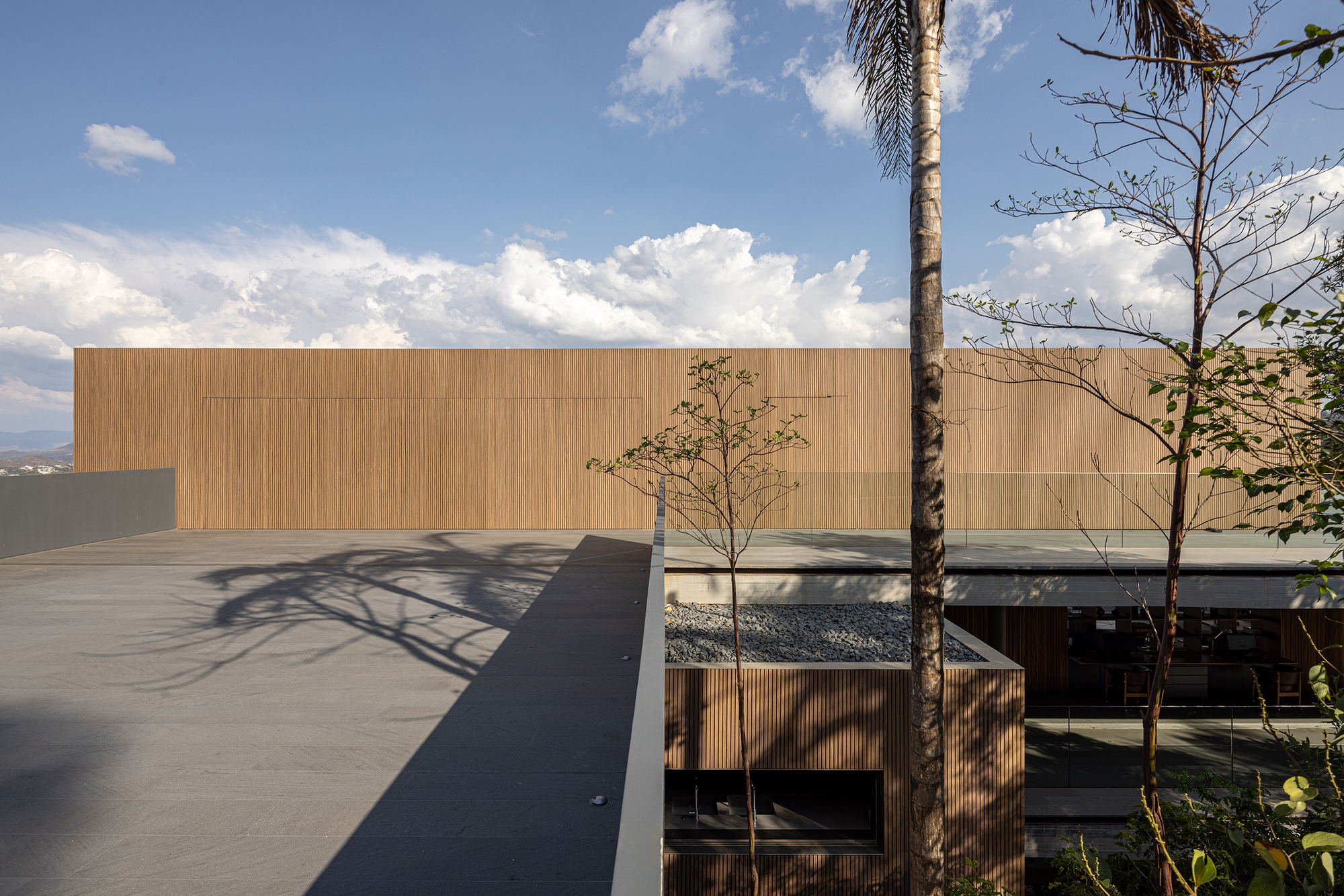 米纳斯之家丨巴西丨studio mk27-19