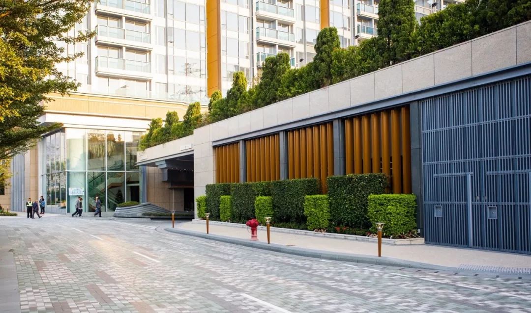 用植物营造空间氛围丨艺汉卿-20