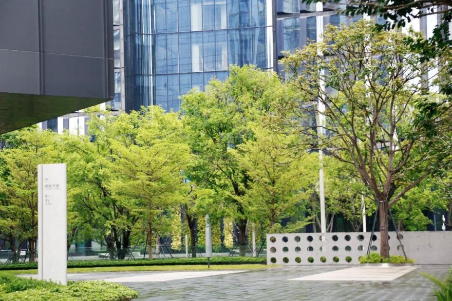 南山中集太子湾大成广场园林景观工程丨中国深圳-0