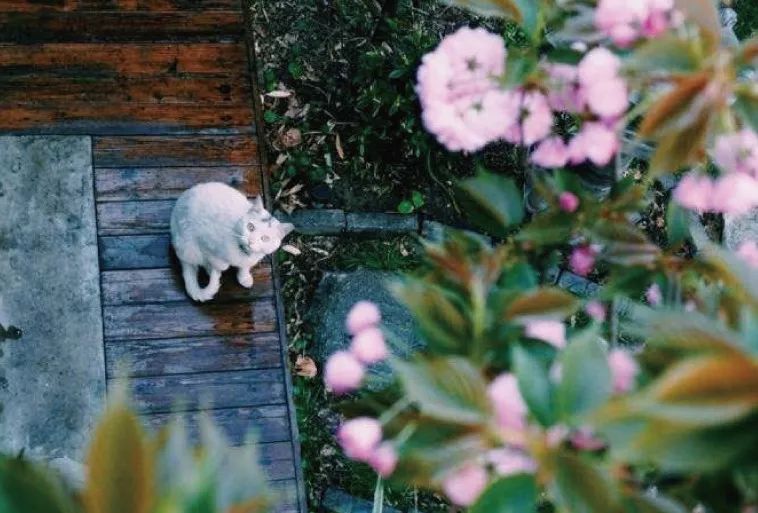 闲暇时光,品读八月的诗与远方-48