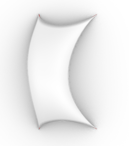 Camel Biomimicry project-11