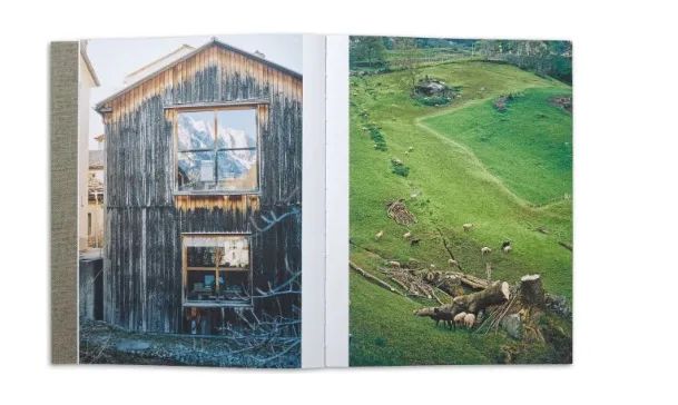 旧金山Dolores Heights住宅丨中国金山丨Jones | Haydu,Sawyers Design-100