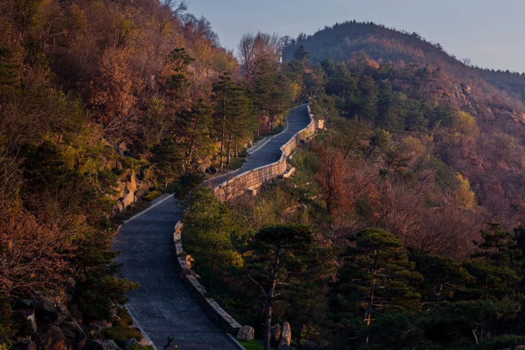 北京悉昙酒店景观设计丨中国北京丨日建设计-57