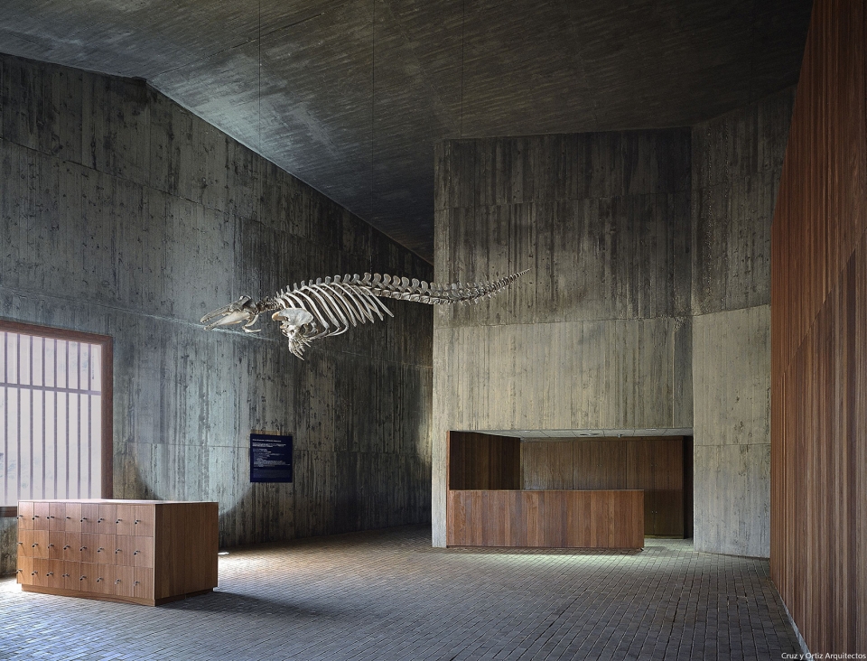 沙漠之珠 · 多尼亚国家公园海洋博物馆-12