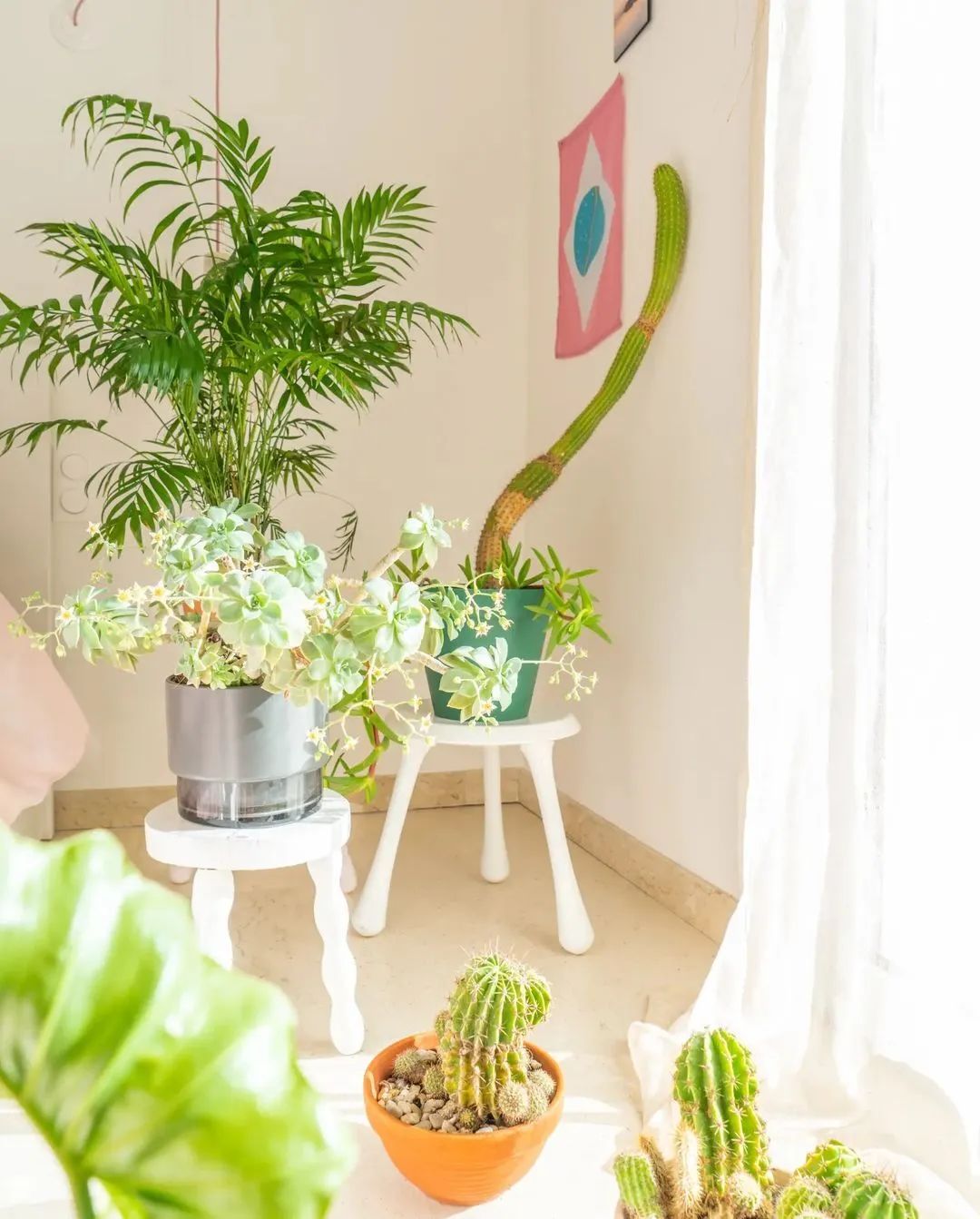 马卡龙色系的家丨法国丨Judith-71