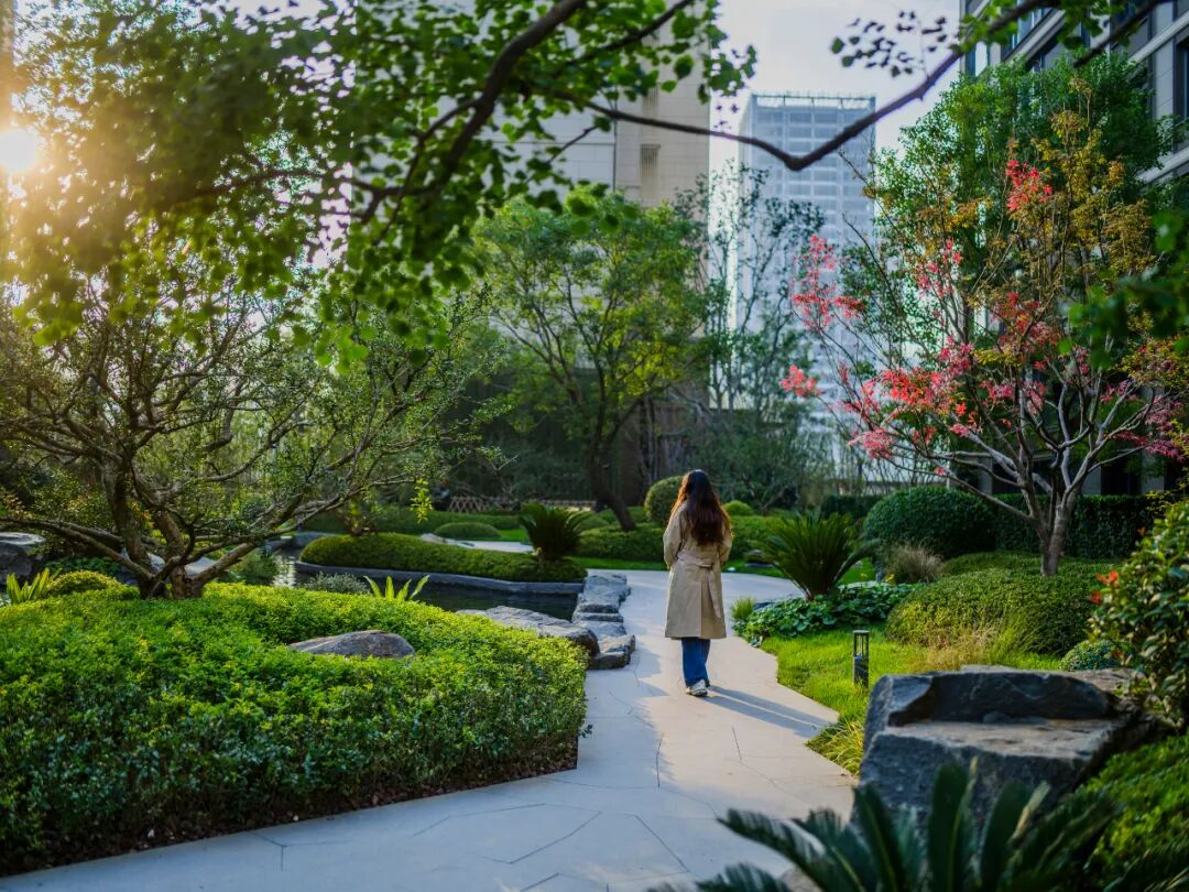 邯郸 · 天正 · 凤鸣九章丨中国河北丨麦田景观-39