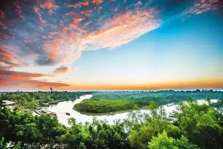 LDG动态︱海口东寨港红树林旅游区：生态典范，设计华章-1