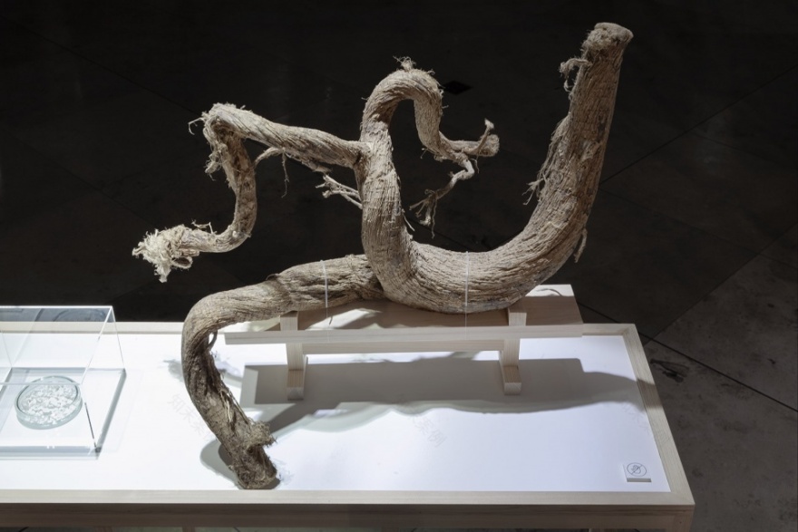 虎屋菓子店展览空间 · 和菓子的本源-22